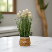 Artificial Pom Pom Grass - Arrangement in Decorative Pot Wall Art | Home Decor | Vase Decor | Vintage Decor